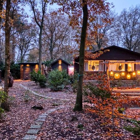 Lodge In Een Bosrijke Omgeving Met Hottub & Sauna Opt Rheezerveen Esterno foto
